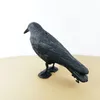 Decorative Objects Figurines Simulation Black Raven Bird Crow Natural Prop Scary Pest Repellent Control Repellent Raven Decoration Party Supplies 230906