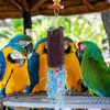 Autres fournitures d'oiseaux Perroquet Jouets à mâcher Jouets suspendus Morsure longue queue en bois pour animaux de compagnie Perruche en bois Balance Train Swing