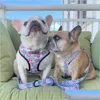 Dog Collars Leashes Dog Vest Harness No Pl Pig Printed Harnesses And Leashes Set Breathable Mesh Padded Puppy Collars For Small Medi Otn7K