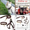 Hundhalsar Leases Leather Dog Collar för små medelstora hundar Justerbar mjuk andningsbar vadderad valpkrage med legeringspänne Tung Otyf5