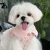 Vestuário para cães Vestido de inverno quente vestido de renda de casamento saia gato chihuahua yorkshire para cães pequenos e médios poodle bichon roupas para animais de estimação