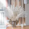 装飾的な花65pcsホワイトパンパスグラスベイホンウェディングアレンジメントドライフラワーブーケふわふわした自然なアイビングルームコーヒーテーブル装飾