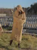 カジュアルドレス秋の冬のフード付きセータードレス女性ビンテージウォームレイジースタイルモリガール