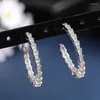 Brincos de argola design clássico moda jóias micro conjunto zircão cristal cobra para mulher festa feriado diário luxo brinco presentes