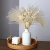 Fiori decorativi naturali essiccati con vaso Decorazioni per la tavola di nozze Bouquet di erba di pampa in composizioni floreali natalizie Decorazione domestica