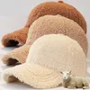 Ball Caps Autumn Winter Baseball Cap Women Artificial Lamb Wool Hats Version Tide Warm Plush Fuzzy Spring Sun