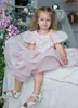 Robes de fille mignon Blush Tulle bébé filles robe pour anniversaire infantile Tutu robe de fête jupe bouffante de noël