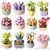 Blocks DIY Succulents Ideas Flowers Bouquet Building Blocks Romantic Rose Flower Home Decoration Toys for Girl R230907