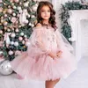 Girl Dresses Princess Pink Tulle Flower Dress For Wedding Round Neck Long Sleeve Pageant Child First Communion Birthday Party