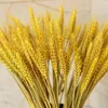 Decorative Flowers 50PCS Wheat Natural Dried Centerpieces For Weddings Mother's Day Easter Decorati Bridal Wedding Bo