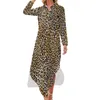 Lässige Kleider, Leoparden-Wildmuster, Chiffon-Kleid, hübsches Animal-Print, lange Ärmel, Streetwear, V-Ausschnitt, große Größe