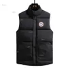 Vests Down Mens 재킷 코트 여성 디자이너 Winter Vest Jackets Fashion Parkas 클래식 캐나다 거위 패션 트렌드 커플 코트 24 S64020626230