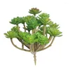 Flores decorativas simulação árvore bonsai verde suculentas plantio vaso flor grama desktop ornamento de natal decoração para casa 24 cabeças