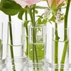 花瓶にヒンジ付き花花瓶フックとブラシテストチューブ容器のある高透明ガラス水耕植物
