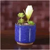 Planters krukor Ice Cracked Mini Ceramic Flower Pot Colorf Söt blomkruka för skrivbordsdekoration köttiga krukväxter släpper deli dhgarder dhxte