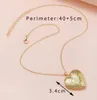 Anhänger Halsketten Gold Silber Farbe DIY Schwimmendes Medaillon Herzform Muster Halskette Weibliche Damen Damen Mädchen Geschenk Modeschmuck Otjed