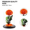 Decorative Flowers Beautiful Non-fading Aesthetic Rose Flower In Glass Cover Ornament Visible Festival Supplies