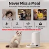 Cat Bowls Feeders ROJECO 4L Automatic Pet Feeder Button Version Auto Food Dispenser Accessories Smart Control For Cats Dog Dry 230907