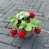 Kunstblumengrün, handgefertigte gehäkelte Erdbeeren, künstliche Bonsai-Pflanzen im Topf für kreative Geschenkidee, niedliche Schreibtischdekoration für Büro/Zuhause/Wohnzimmer 230907