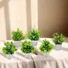 Fleurs décoratives Mini plante artificielle bonsaï petit arbre simulé plantes en Pot fausse fleur Table de bureau ornements en pot mariage maison