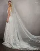 Bridal Veils Chapel Length Lace Plant Appliques Wedding Veil Single Layer Po Studio Model Illusion Accessories