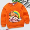 Sweats à capuche Capybara Giant Graphics Filles Garçons Rainbow Hearts Moletom Infantil Harajuku Animal Sweat Drôle Marque Enfants Vêtements 230907