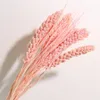 Decorative Flowers Yunnan Natural Dry Dyeing Millet Corn Wheat Spike Flower Garden Art Home Spring Decoration Outdoor Items Accessories