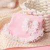 Vêtements pour chiens Jupe de style princesse en dentelle Automne et hiver Chiots Petits chiens de taille moyenne peuvent être tirés pieds chauds Vêtements pour animaux de compagnie