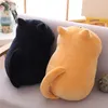 Cuscino da ufficio in peluche con striscia lunga cilindrica a forma di gatto carino Kawaii da 35 cm, morbido animale, con UPS gratuito