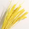 Decorative Flowers Yunnan Natural Dry Dyeing Millet Corn Wheat Spike Flower Garden Art Home Spring Decoration Outdoor Items Accessories