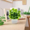 Fleurs décoratives Mini plante artificielle bonsaï petit arbre simulé plantes en Pot fausse fleur Table de bureau ornements en pot mariage maison