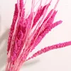 Decorative Flowers Yunnan Natural Dry Dyeing Millet Corn Wheat Spike Flower Garden Art Home Spring Decoration Outdoor Items Accessories