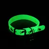 Hundehalsbänder, Leinen, leuchtende Katzenhalskette, leuchtendes Halsband für kleine Hunde und Katzen, Anti-Verlust, fluoreszierendes Silikon, Katzenglockenhalsband, Halsring, Haustier-Katzenzubehör 230908