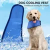 Colliers rafraîchissants pour chiens et chats, serviette respirante pour animaux de compagnie, écharpe instantanée, accessoires de glace