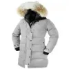 2020 Роскошная дизайнерская женская зимняя куртка, зимнее пальто, женские пальто, женское пальто, женская парка, теплый и толстый водонепроницаемый пух, jac298F