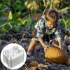 Stoviglie usa e getta 50 pezzi Culla di supporto per piante Plastica Melone Anguria Zucca Previene la decomposizione Gabbie protettive trasparenti Giardinaggio