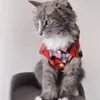 Cat Costumes Plaid Cat Clothes for Cats Sphinx Pet Clothing for Small Cats Dogs Cat Costumes Soft Kitten Kitty Coat Jacket Puppy Outfit York 230908