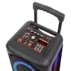 Audio Portable 8 Inch 6000W Sers Lever Dual Outdoor Trolley Karaoke Partybox RGB Bluetooth Ser EQ Colorful LED Light Ring With Mic Remote