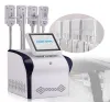 Système portatif de cryolipolyse Cryolipolysis amincissant la machine tamponne la congélation des graisses amincissant la machine de palettes de cryolipolyse