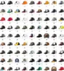 95 colores 2023 nuevo verano nuevo Animal bordado gorra de béisbol gorra de malla gorra de béisbol hombres y mujeres sombrero baile callejero gorra de Hip Hop