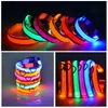 Dog Collars LEASHES USB充電LED DOG COLLAR DOG SAFETY NIGHT NIGHT LIGHT LIGHT LIGHT LIGHTING NECKLACE FLUORESCENT COLLARS PET SUPPLIES 230908