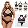 Nouveaux ensembles de lingerie grande taille femmes sous-vêtements sexy soutien-gorge et culotte érotiques licou costume en dentelle pour grosse femme 3XL - 5XL vêtements de nuit 1251U