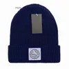 Luxury Stone Beanie Island Brand Knitted Hat Designer Cap Mens Fitted Hats Unisex Cashmere Letters Casual Skull Caps Outdoor37