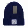 Luxus Stein Beanie Island Marke Gestrickte Hut Designer Kappe Herren Ausgestattet Hüte Unisex Kaschmir Buchstaben Casual Schädel Caps Outdoor37