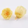 Dekorative Blumen, echte natürliche ewige zweifarbige, konservierte Austin-Rosenköpfe, 3–4 cm, in Box, Geschenk zum Valentinstag, Hochzeitstag