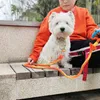 Halsbanden KANGFEILE Handgeweven Kleurrijke Katoenen Draad voor Kleine Honden Huisdier Training Hardlopen Wandelen Buiten Touwen 230907