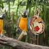 Andra fågelförsörjningar papegoja leksak papegojor som foder leksaker bur tillbehör för conures Budgies cockatiels och kärleksfåglar - Hangable