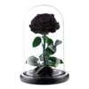 Decorative Flowers Beautiful Non-fading Aesthetic Rose Flower In Glass Cover Ornament Visible Festival Supplies