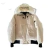 Designerska kurtka zimowa wiatroodporna ciepła kurtka z kapturem kurtki kanadyjskie gęsią parki bluzy wierzchołki multiple 650