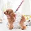 Colliers de chien Laisses Robe de luxe Harnais et laisse Ensemble 6 couleurs Fille Garçon Pet Chiot Petits Animaux Chats Chihuahua Collier Marche Plomb Marchandises 230907